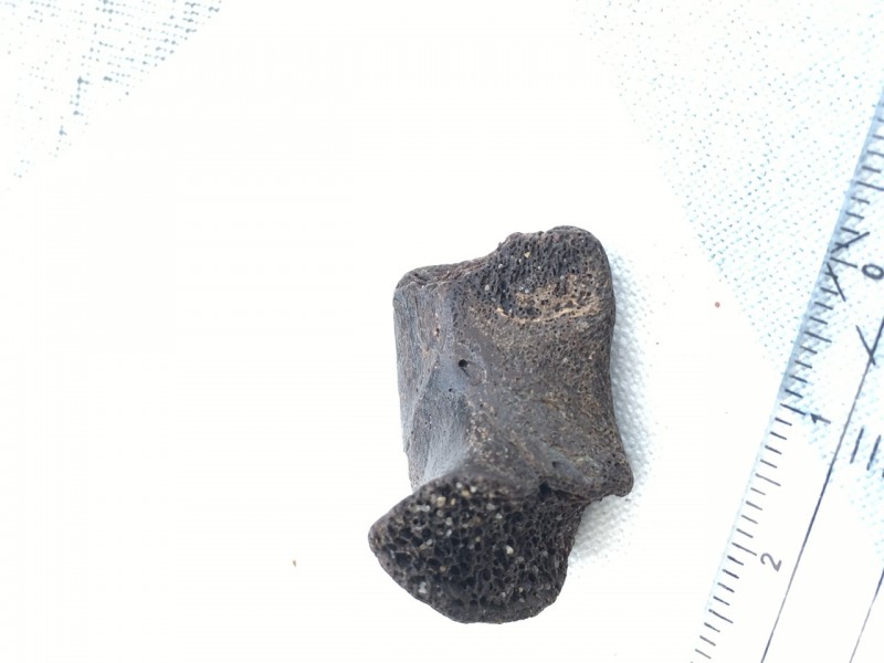 681FB6B8-3542-49DC-AB35-442B5E0F5E53.jpeg (165.77 KiB) 769 keer bekeken 681FB6B8-3542-49DC-AB35-442B5E0F5E53.jpeg