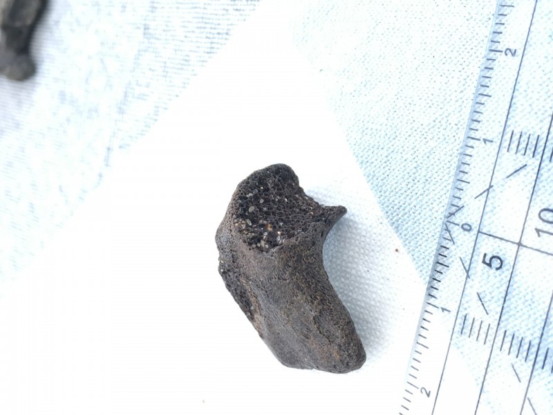 F6296F44-9586-4200-B160-208C3BB1D91A.jpeg (254.27 KiB) 769 keer bekeken F6296F44-9586-4200-B160-208C3BB1D91A.jpeg