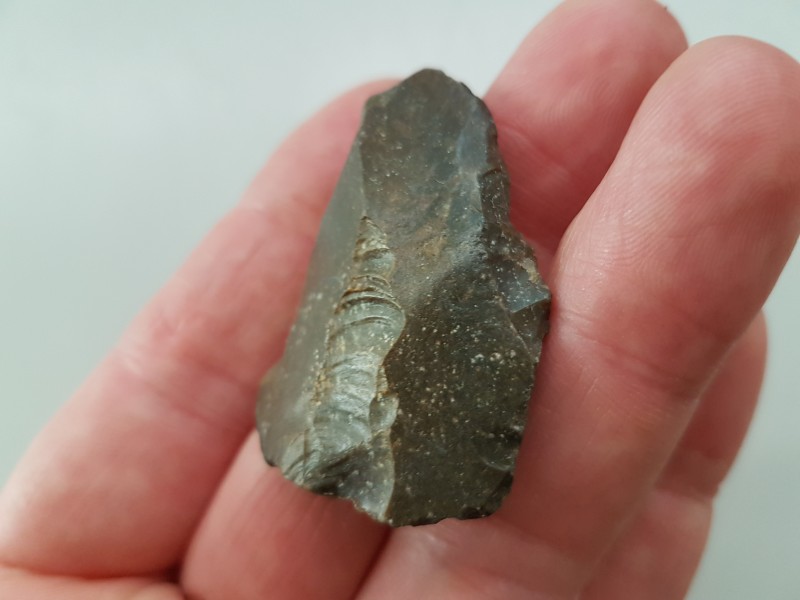 20200608_124251.jpg (3.29 MiB) 1445 keer bekeken 20200608_124251.jpg