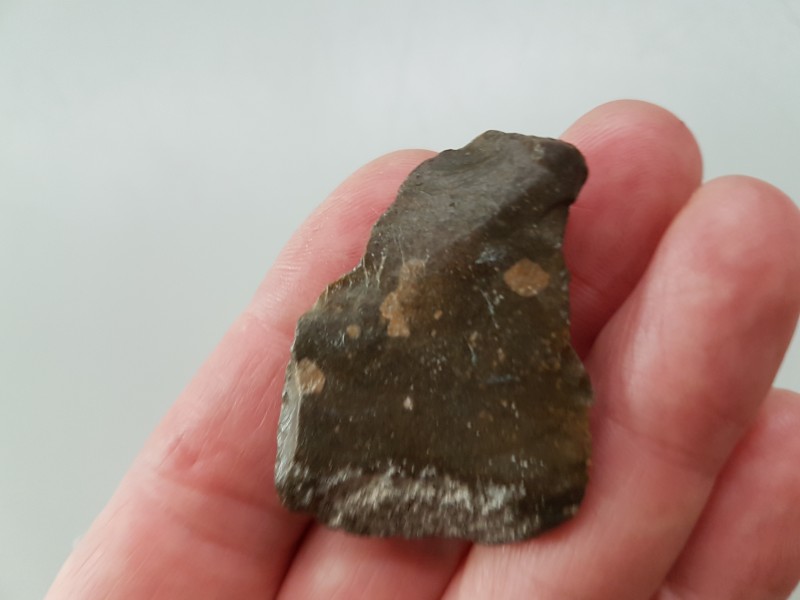 20200608_124259.jpg (3.24 MiB) 1445 keer bekeken 20200608_124259.jpg