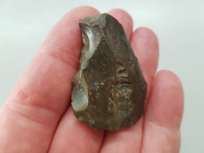 20200608_124254.jpg (3.21 MiB) 1284 keer bekeken 20200608_124254.jpg