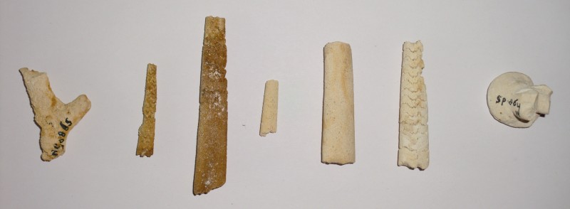 CIMG5653.JPG