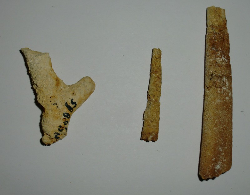 CIMG5655.JPG