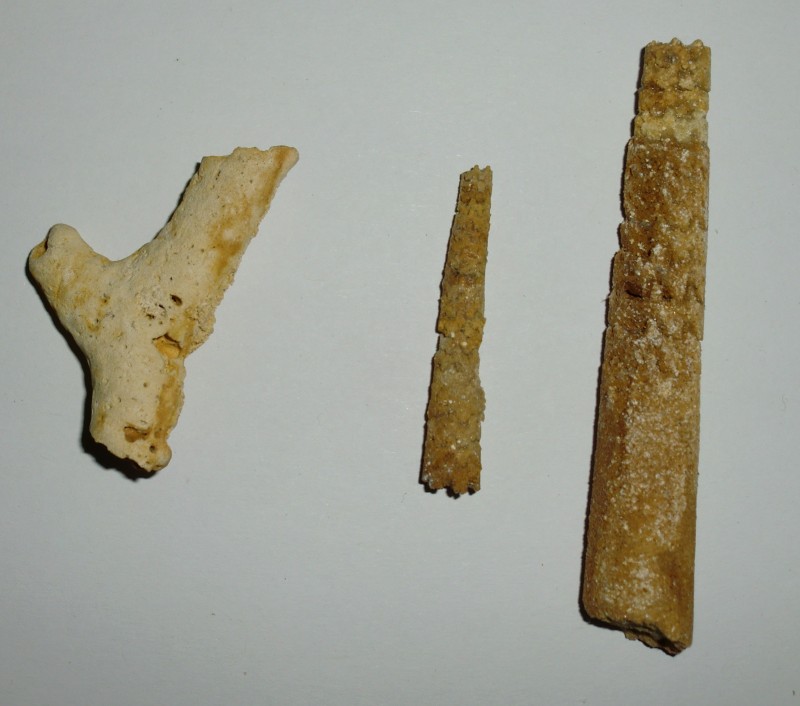 CIMG5658.JPG