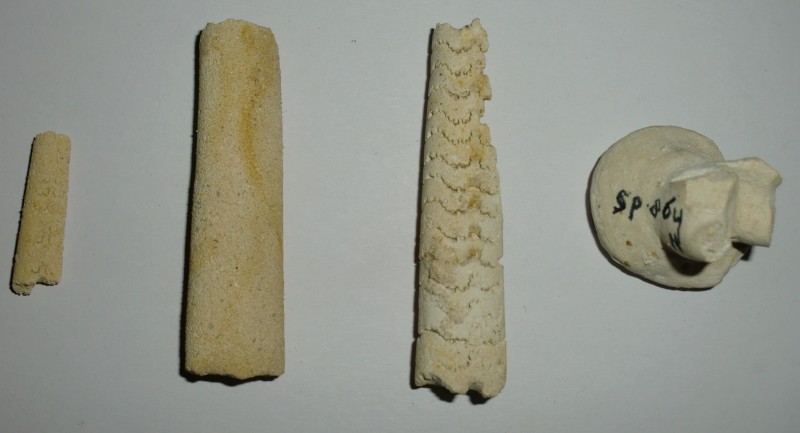CIMG5656.JPG