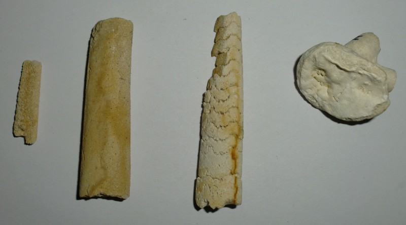 CIMG5659.JPG
