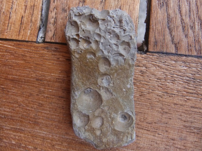 DSCF2173.JPG