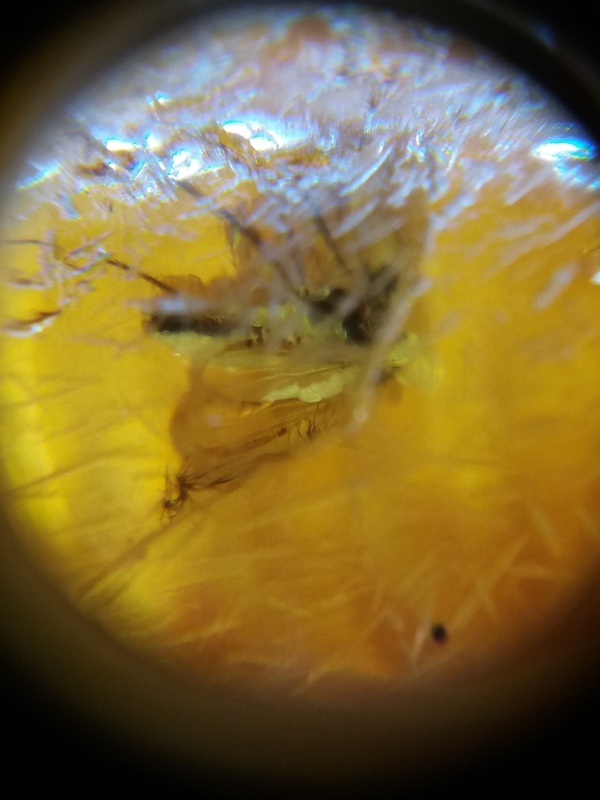 159223039768268640 (10).jpg