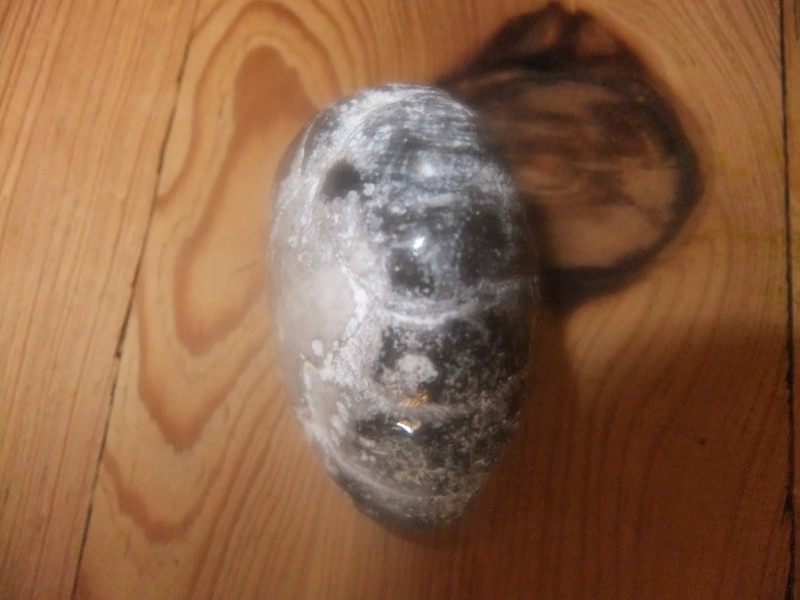 DSCF2186.JPG