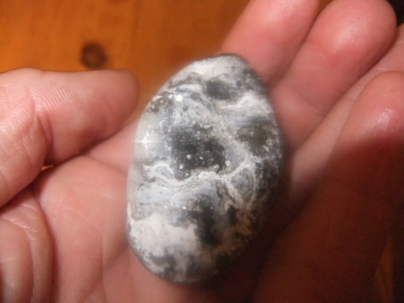 DSCF2187.JPG