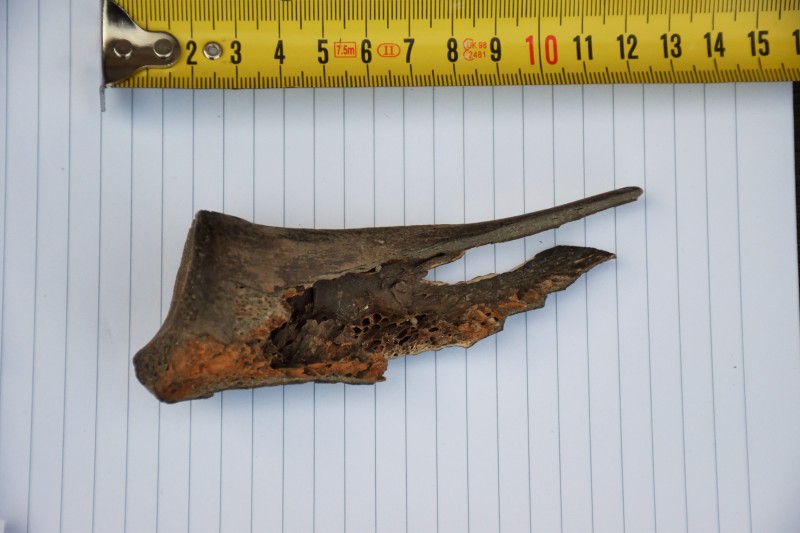 DSC_0001.JPG (3.89 MiB) 686 keer bekeken DSC_0001.JPG