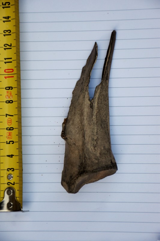 DSC_0002.JPG (4.04 MiB) 686 keer bekeken DSC_0002.JPG