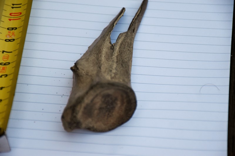 DSC_0003.JPG (3.64 MiB) 654 keer bekeken DSC_0003.JPG