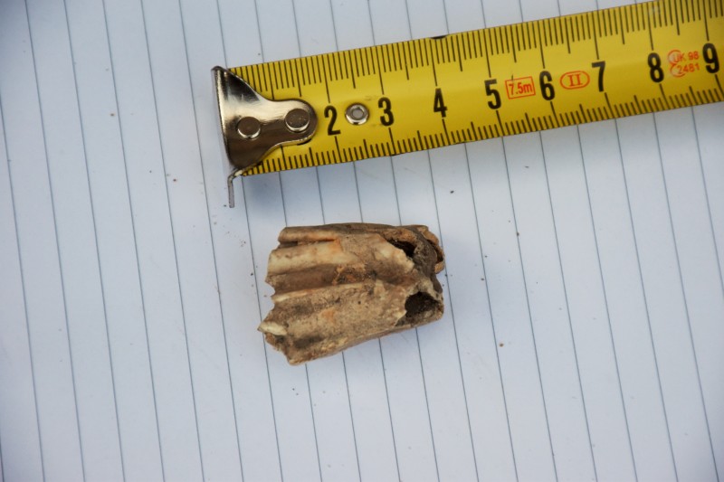 DSC_0004.JPG (4.01 MiB) 646 keer bekeken DSC_0004.JPG