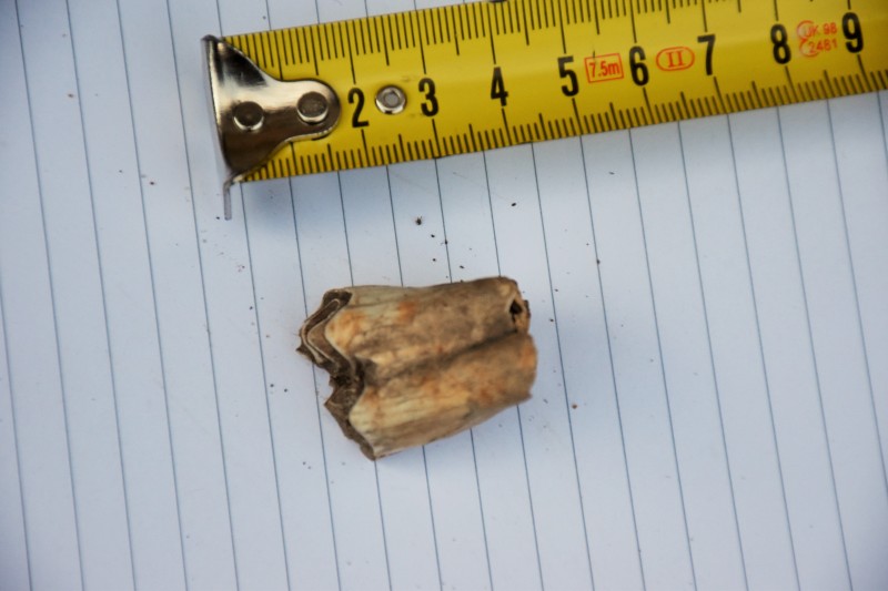 DSC_0005.JPG (3.94 MiB) 646 keer bekeken DSC_0005.JPG