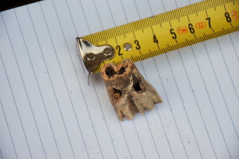 DSC_0007.JPG (3.9 MiB) 647 keer bekeken DSC_0007.JPG