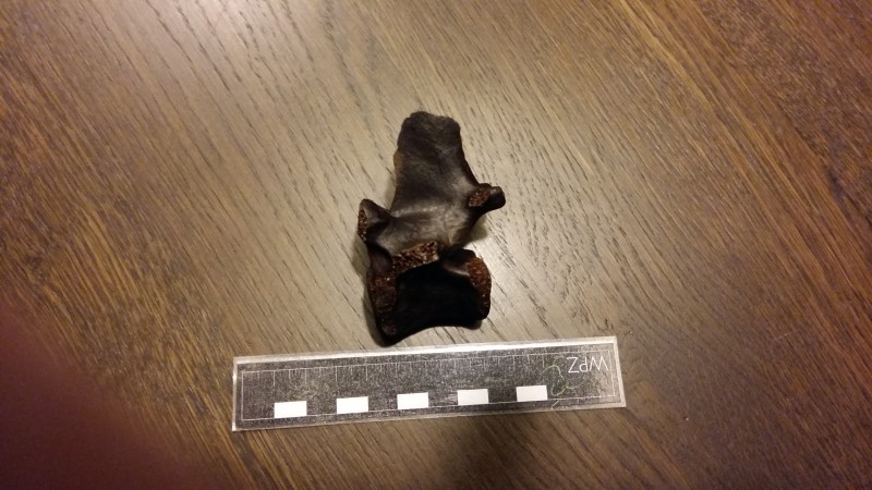 20191124_200454.jpg