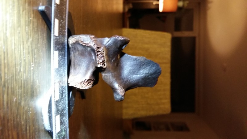 20191124_200337.jpg
