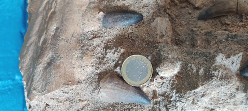 IMG_20200703_195611.jpg (2.83 MiB) 2677 keer bekeken IMG_20200703_195611.jpg