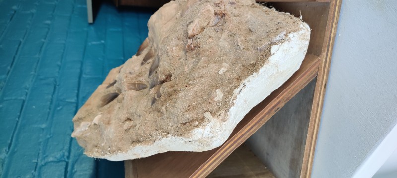 IMG_20200703_200637.jpg (2.26 MiB) 2666 keer bekeken IMG_20200703_200637.jpg