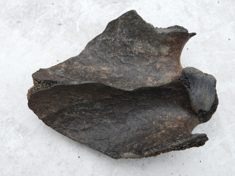 DSCN7025.JPG