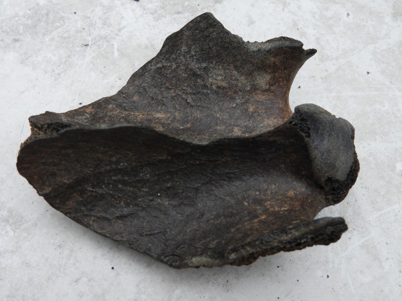 DSCN7028.JPG