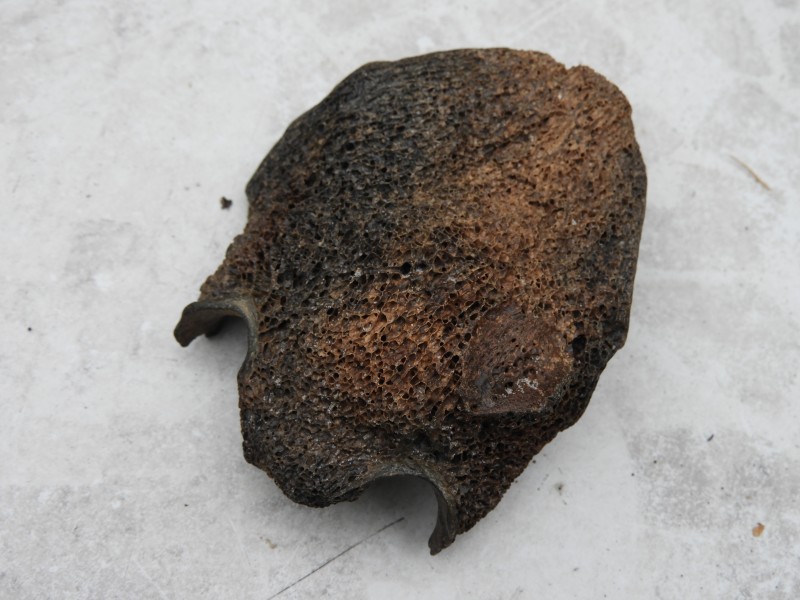 DSCN7030.JPG