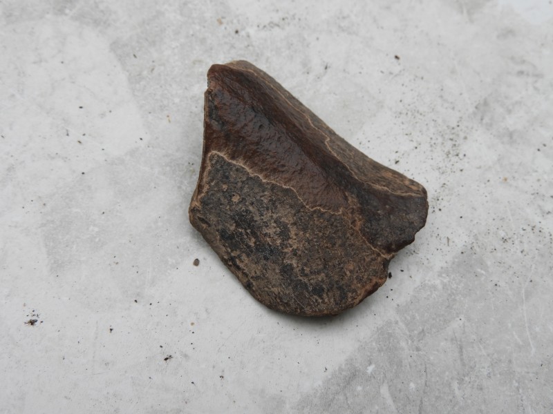 DSCN7036.JPG