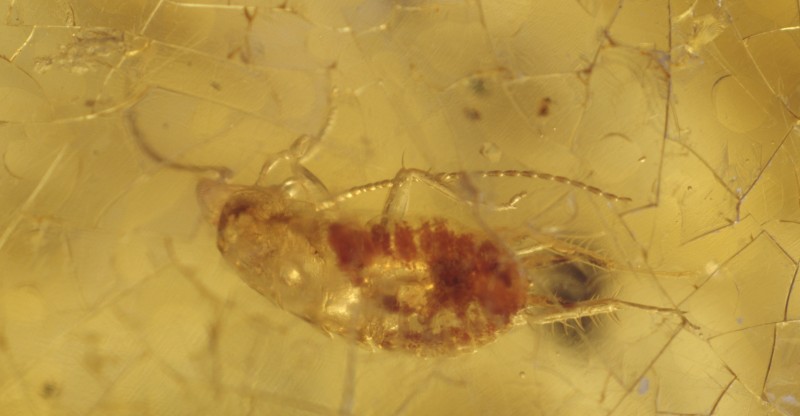 NIF_0035_cropped.JPEG (854.61 KiB) 1796 keer bekeken Alternatieve hoek