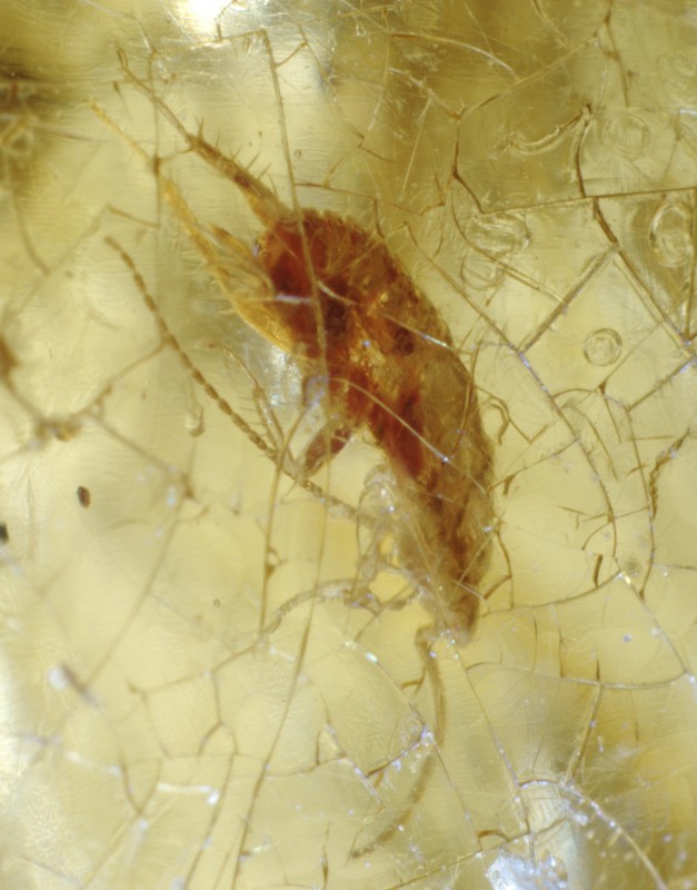 NIF_0221_cropped.jpg