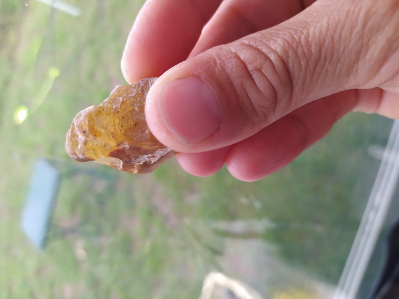 1594886060667..jpg (3.64 MiB) 1609 keer bekeken 1