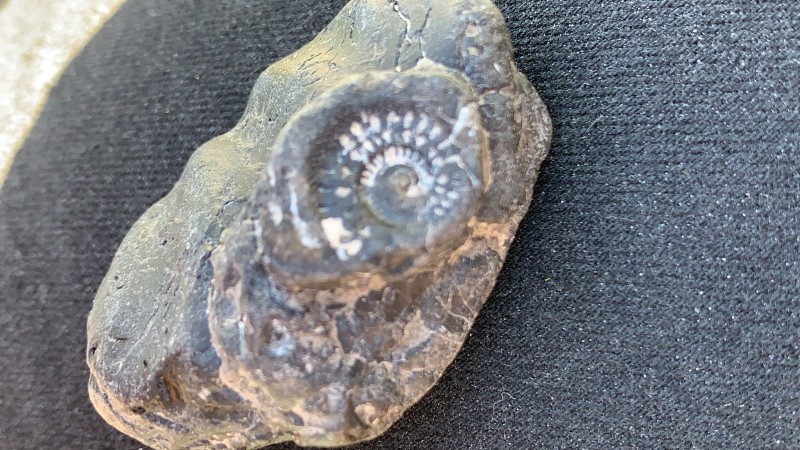 38797753-1553-4A61-8D49-F78C08B49BC8.jpeg (2.18 MiB) 543 keer bekeken 38797753-1553-4A61-8D49-F78C08B49BC8.jpeg