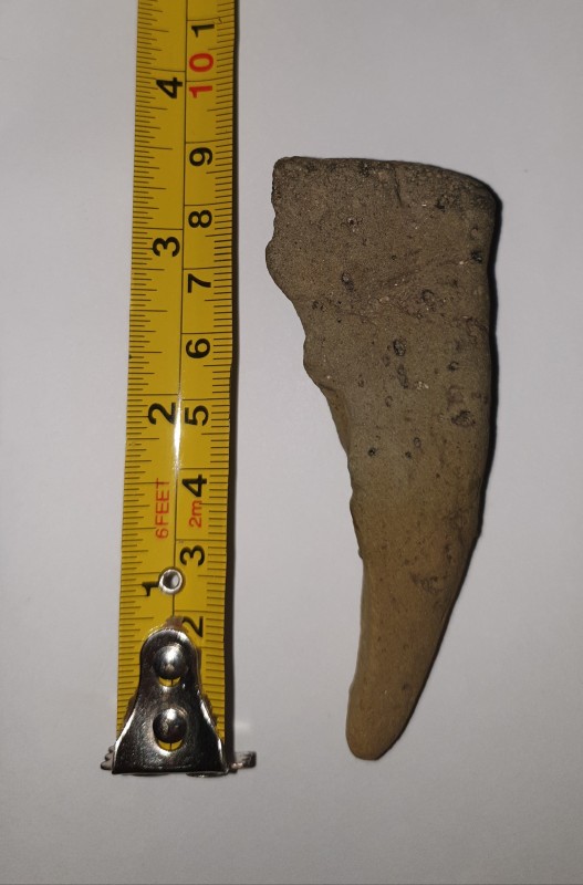 foto 2.jpg