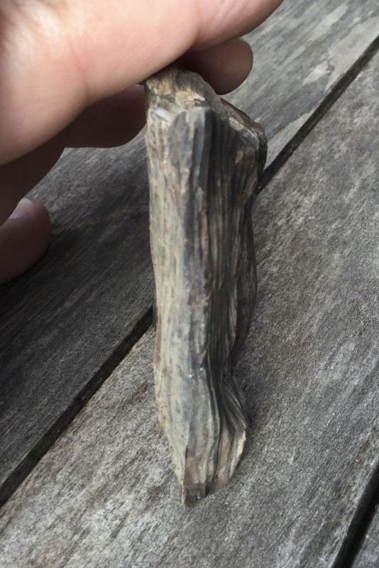 Andere zijkant met doorlopend patroon, waardoor ik denk dat het een volledig stammetje is.