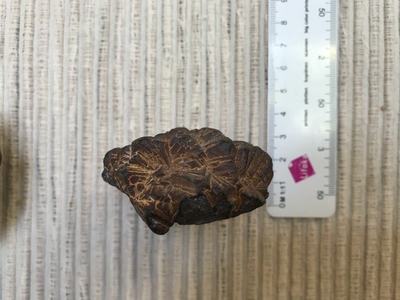 IMG_0165.jpg (1.63 MiB) 1660 keer bekeken vindplaats Ault Normandie 2017