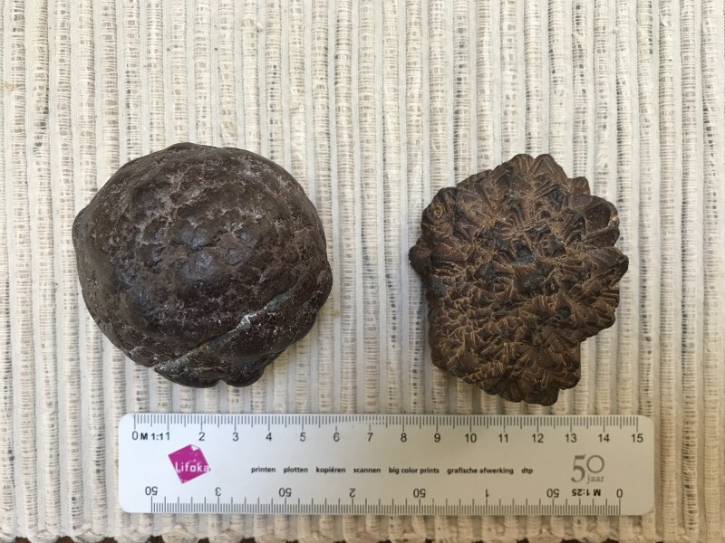 IMG_0162.jpg (2.44 MiB) 1660 keer bekeken vindplaats Ault Normandie 2017