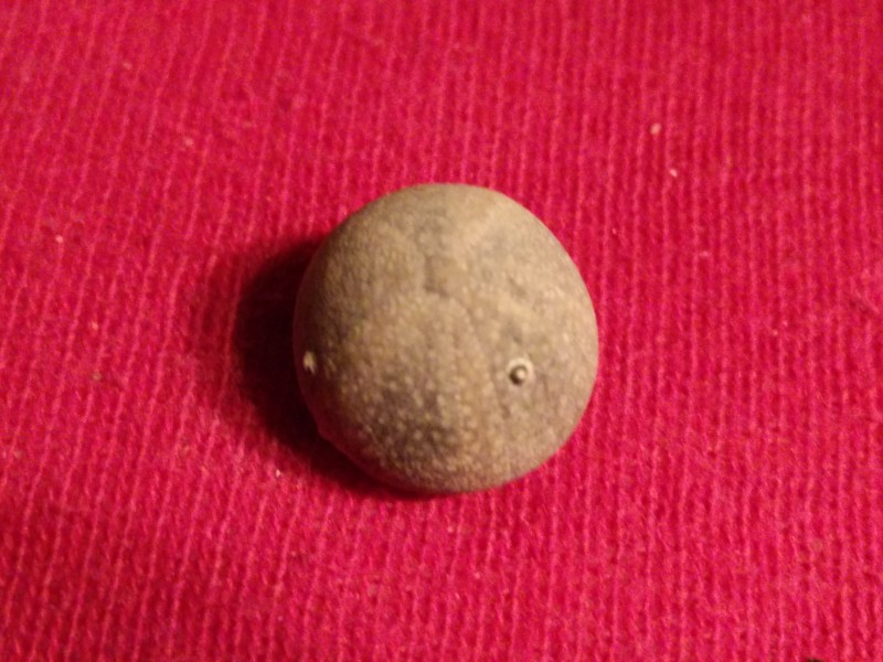 zeegel 3.jpg