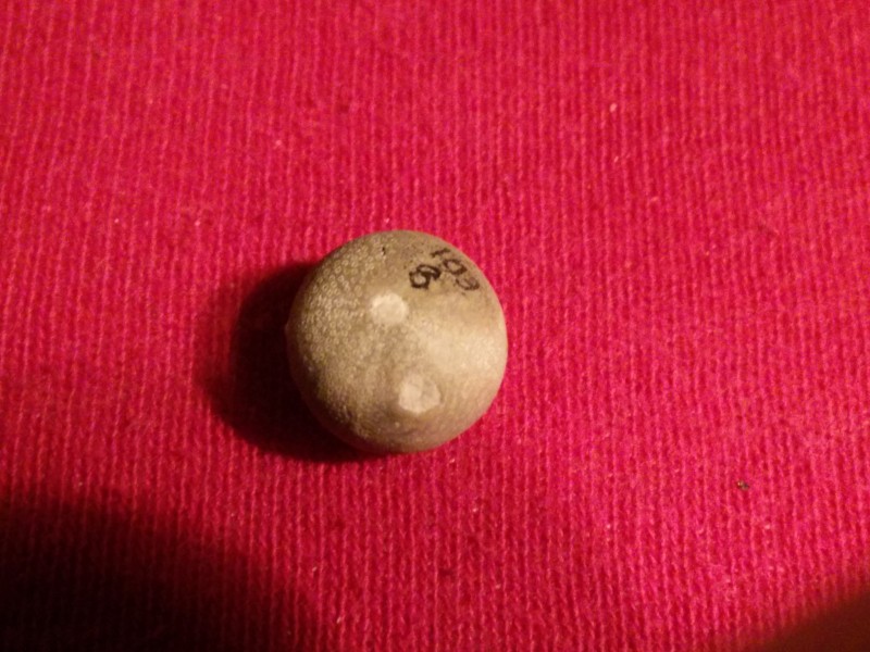 zeegel 4.jpg