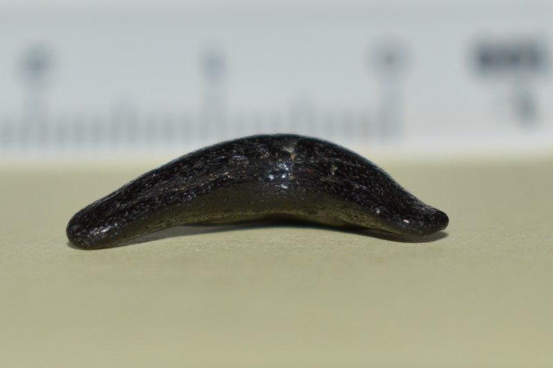 onderkant