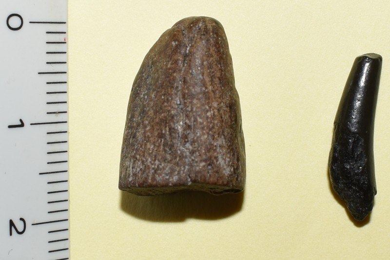 foto 2.jpg (327.94 KiB) 463 keer bekeken foto 2.jpg