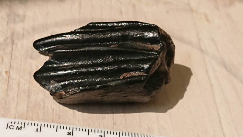 DSC_0206.JPG (2.97 MiB) 840 keer bekeken DSC_0206.JPG