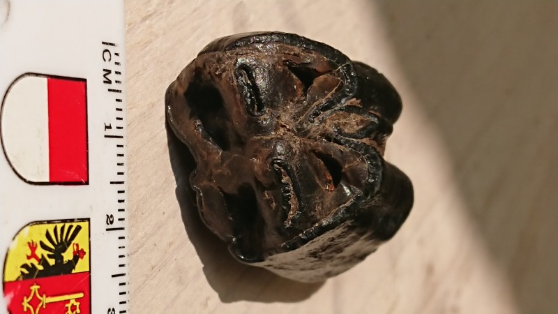 DSC_0205.JPG (3.1 MiB) 844 keer bekeken DSC_0205.JPG