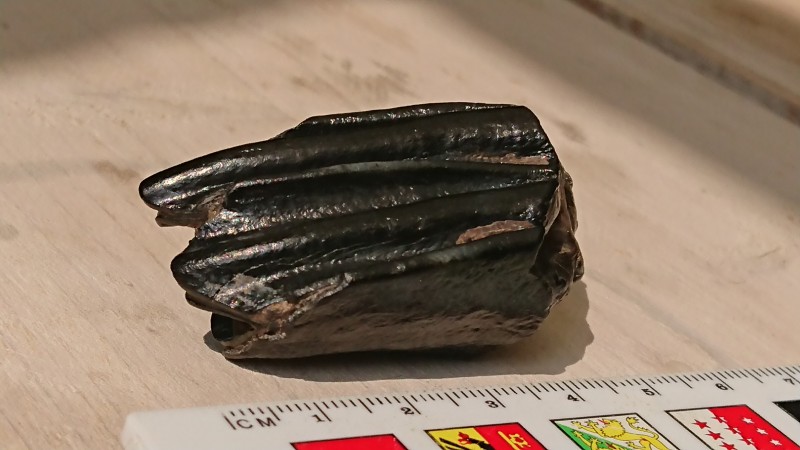 DSC_0203.JPG (3.09 MiB) 844 keer bekeken DSC_0203.JPG