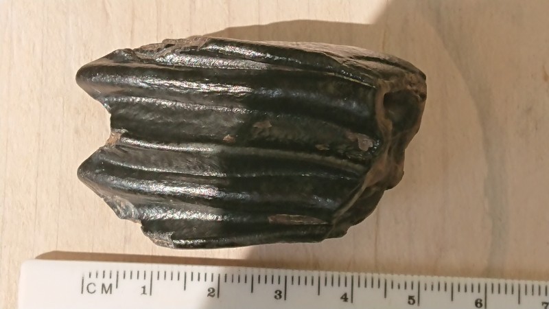 DSC_0202.JPG (3.1 MiB) 844 keer bekeken DSC_0202.JPG