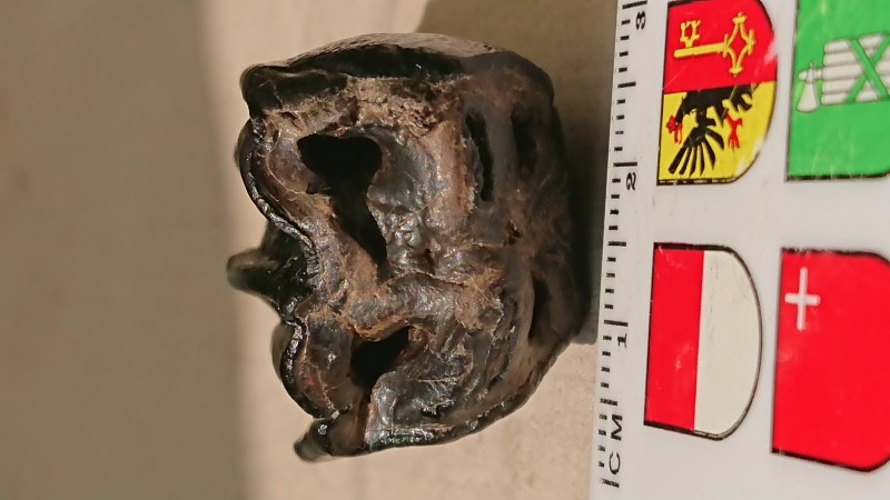 DSC_0201.JPG (3.04 MiB) 840 keer bekeken DSC_0201.JPG