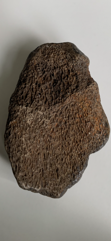 A55AE332-181E-48DD-9EAC-5FDE5AB7BE12.png