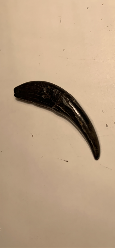 6FB995A0-C3E3-400D-99D7-8C47EF8FCF52.png (1.79 MiB) 712 keer bekeken 6FB995A0-C3E3-400D-99D7-8C47EF8FCF52.png