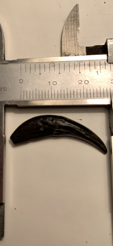 654F042E-A721-4926-9496-A9A07A7D21C6.png (3.25 MiB) 712 keer bekeken 654F042E-A721-4926-9496-A9A07A7D21C6.png