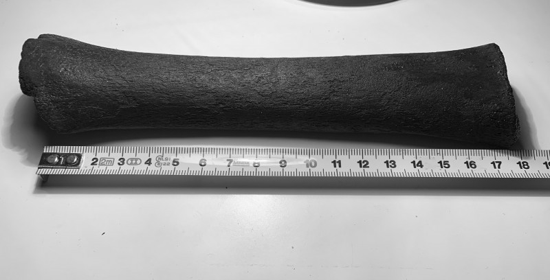 4B104208-A24A-4BDC-B573-FA6D54D6B5A4.jpeg (1.57 MiB) 801 keer bekeken 4B104208-A24A-4BDC-B573-FA6D54D6B5A4.jpeg