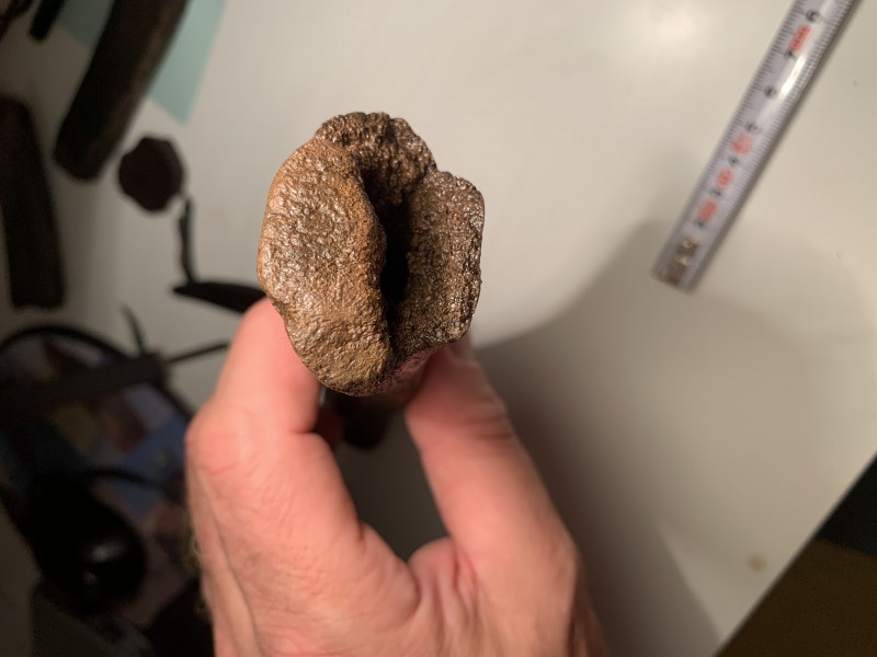 F016E189-497C-4AA4-9749-67DFE1A5E1C0.jpeg (1.8 MiB) 801 keer bekeken F016E189-497C-4AA4-9749-67DFE1A5E1C0.jpeg